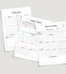 300+ PLR Digital Planners, Journals & Trackers - Canva Templates