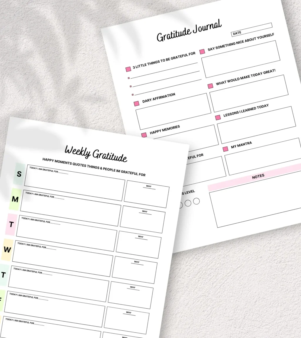 300+ PLR Digital Planners, Journals & Trackers - Canva Templates - Image 7