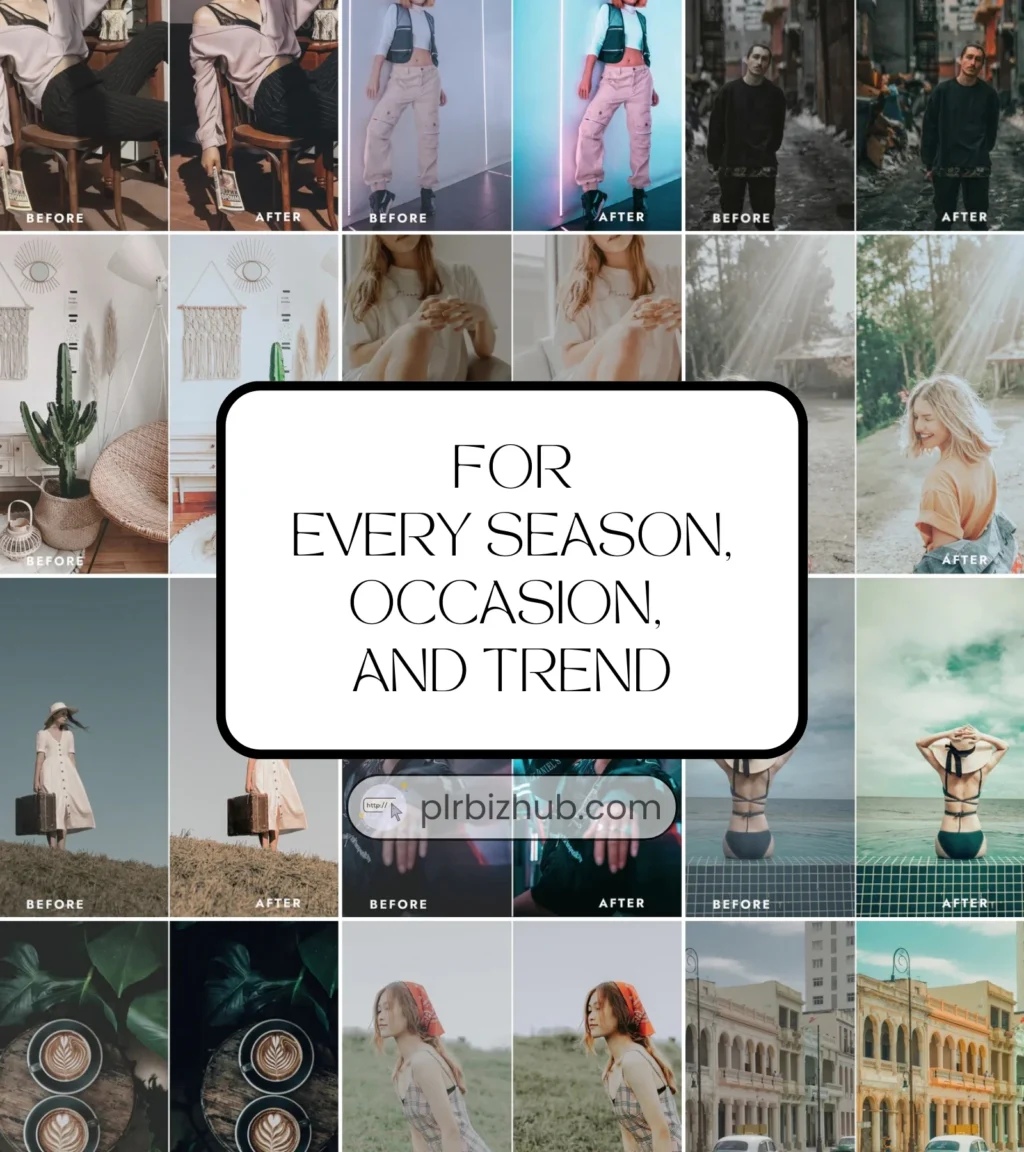 150,000+ PLR Premium Adobe Lightroom Presets Bundle - Image 4