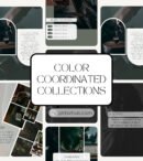 17000+ PLR Social Media Posts - Canva Templates Bundle